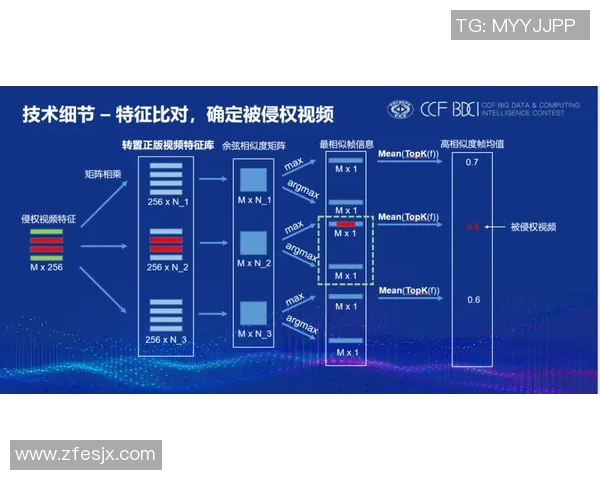 深圳飞盘队区域防守新策略探索与实践分析